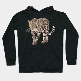 Leopard Hoodie